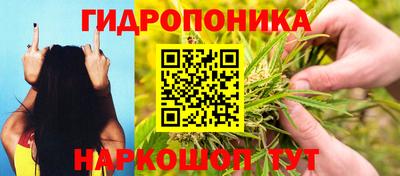 a pvp Жуковский